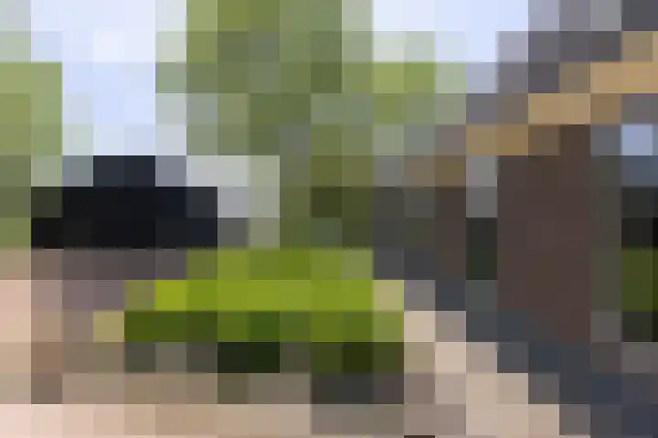 Knokkel 42 Andijk thumbnail 51