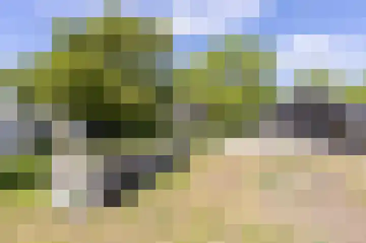 Knokkel 42 Andijk thumbnail 52