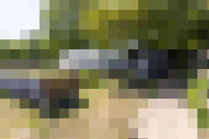 Knokkel 42 Andijk thumbnail 53
