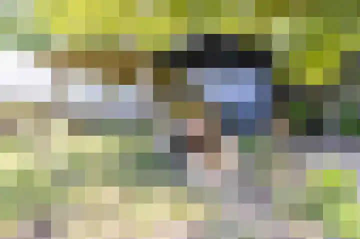 Knokkel 42 Andijk thumbnail 54