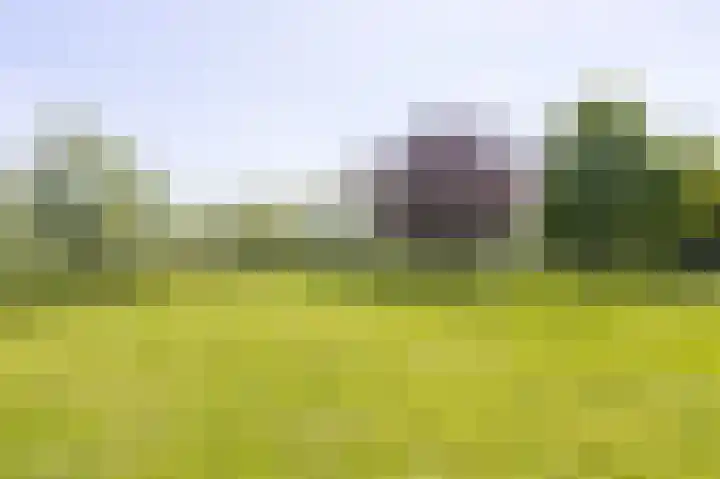 Knokkel 42 Andijk thumbnail 55