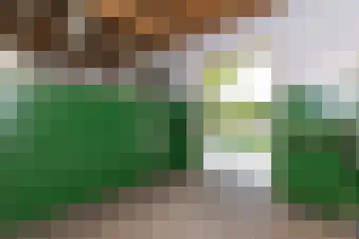 Knokkel 42 Andijk thumbnail 58