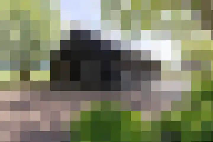 Knokkel 42 Andijk thumbnail 6