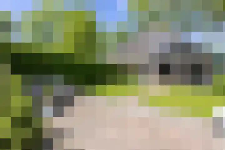 Knokkel 42 Andijk thumbnail 7