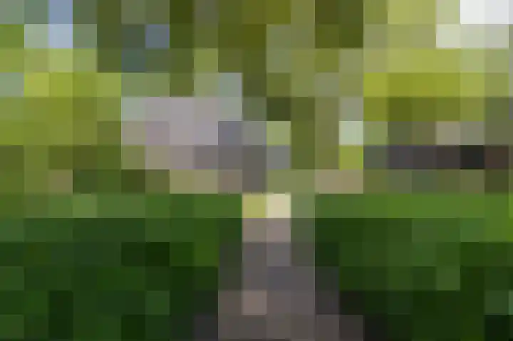 Knokkel 42 Andijk thumbnail 8