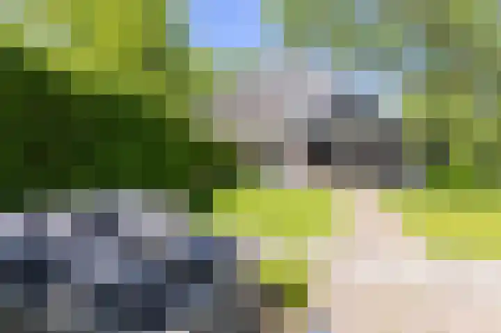 Knokkel 42 Andijk thumbnail 9