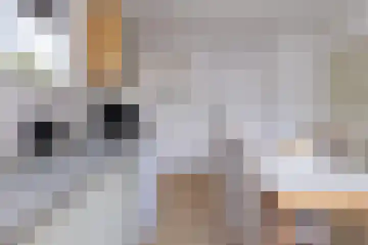 Knokkel 46 Andijk thumbnail 15