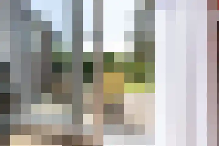 Knokkel 46 Andijk thumbnail 20