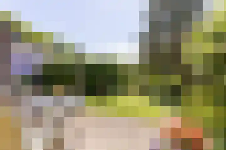 Knokkel 46 Andijk thumbnail 21