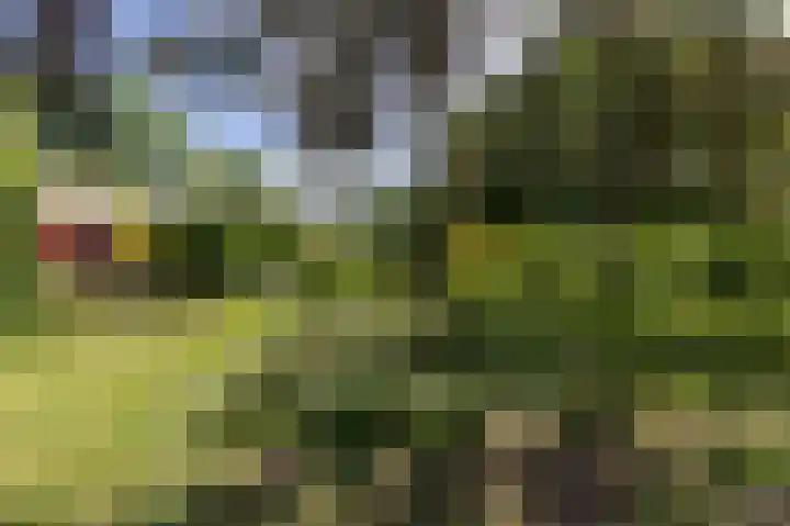 Knokkel 46 Andijk thumbnail 24