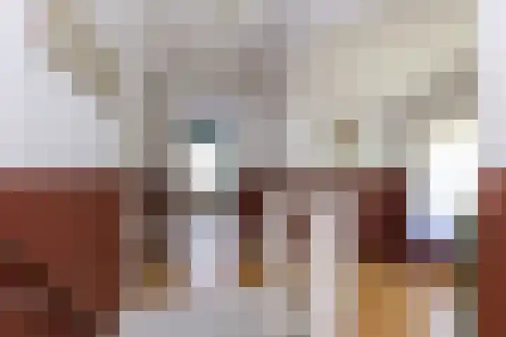 Knokkel 46 Andijk thumbnail 28
