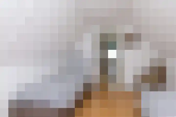 Knokkel 46 Andijk thumbnail 30