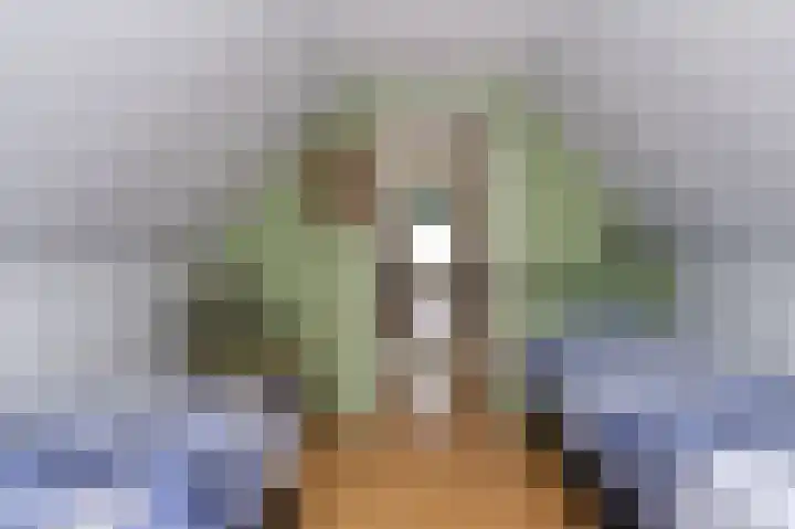 Knokkel 46 Andijk thumbnail 32