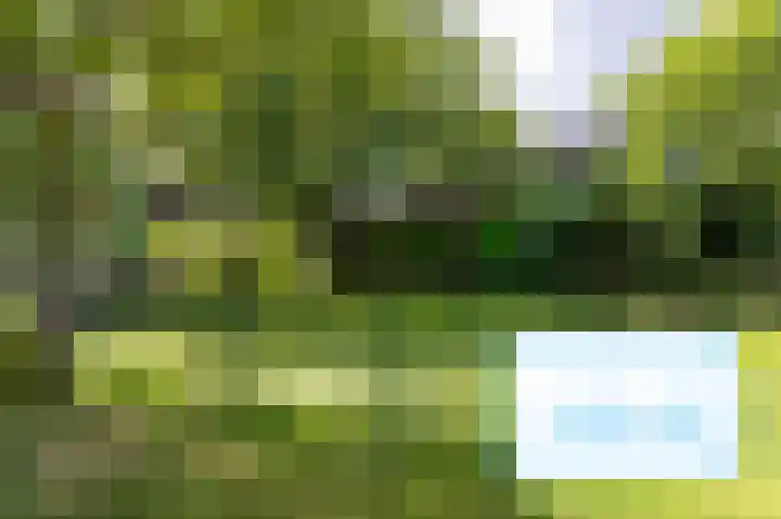 Knokkel 46 Andijk thumbnail 34