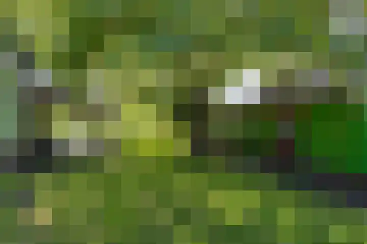 Knokkel 46 Andijk thumbnail 35
