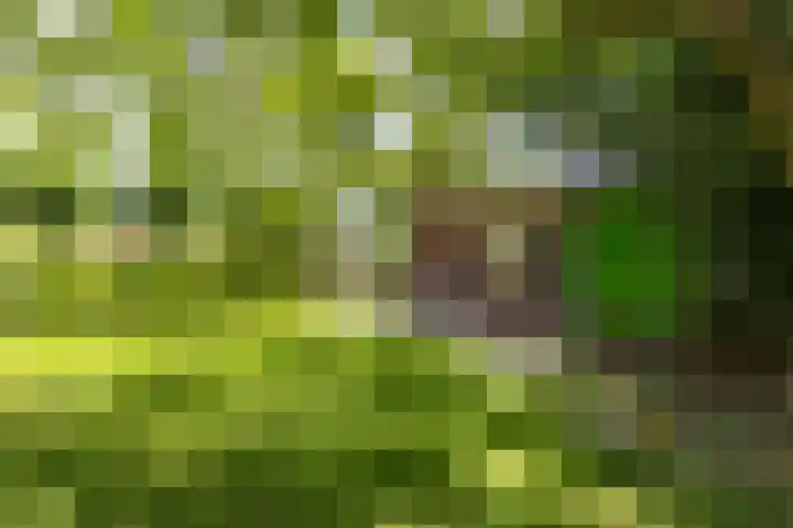 Knokkel 46 Andijk thumbnail 36