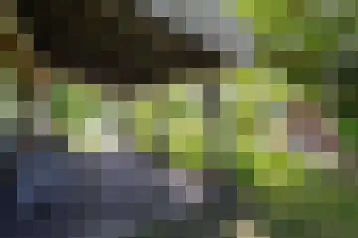Knokkel 46 Andijk thumbnail 38