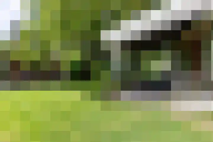 Knokkel 46 Andijk thumbnail 39
