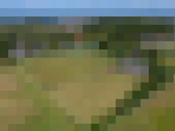 Knokkel 46 Andijk thumbnail 4