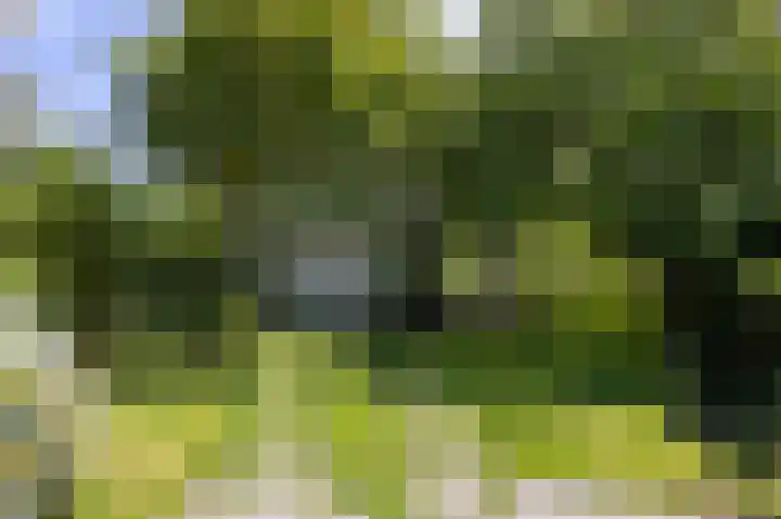 Knokkel 46 Andijk thumbnail 40