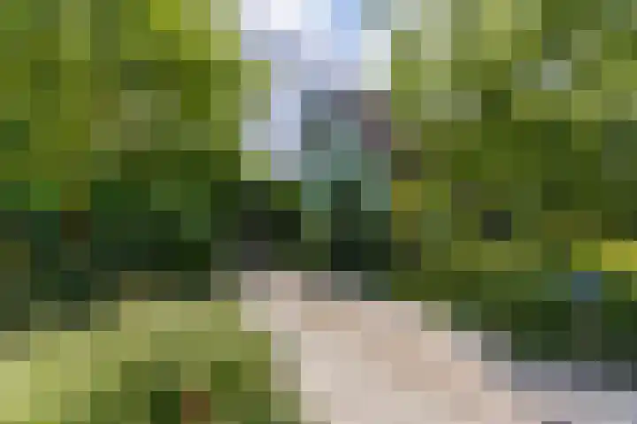 Knokkel 46 Andijk thumbnail 41