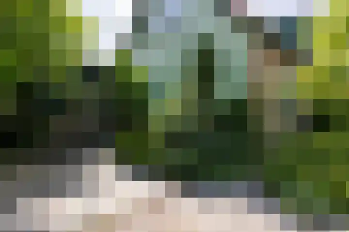 Knokkel 46 Andijk thumbnail 42