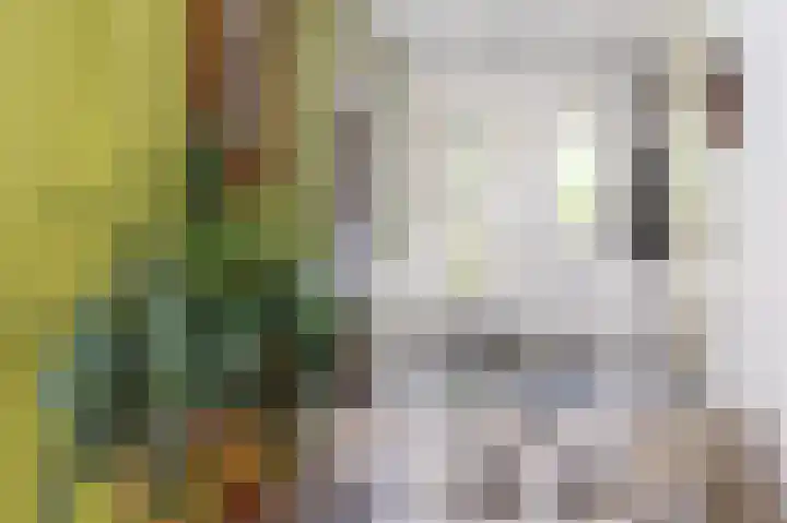 Knokkel 46 Andijk thumbnail 43