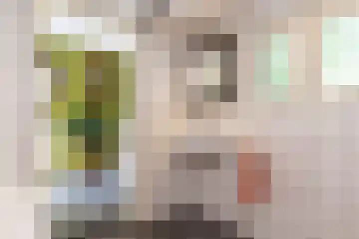 Knokkel 46 Andijk thumbnail 44