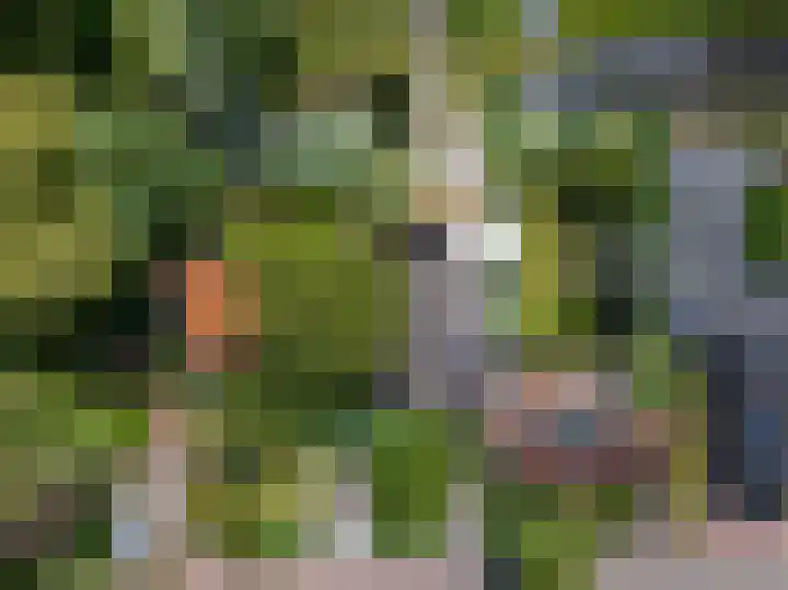Knokkel 46 Andijk thumbnail 5