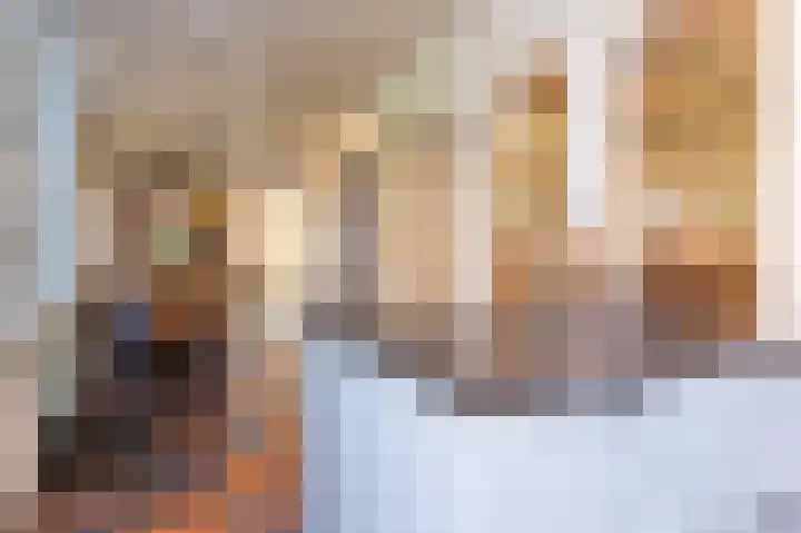 Knokkel 46 Andijk thumbnail 58