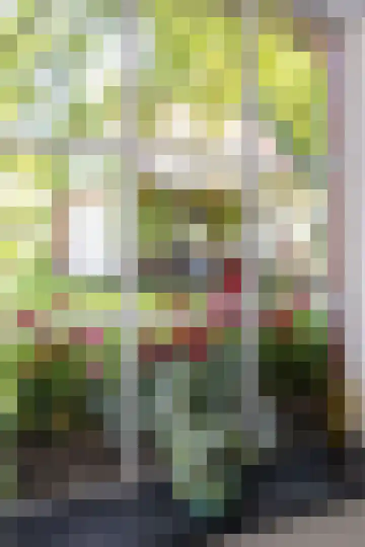 Knokkel 46 Andijk thumbnail 59