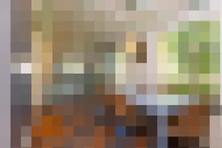 Knokkel 46 Andijk thumbnail 60