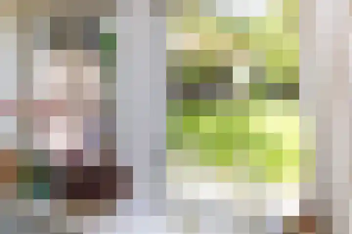 Knokkel 46 Andijk thumbnail 61