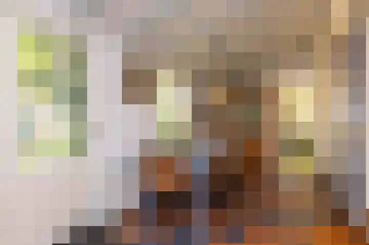 Knokkel 46 Andijk thumbnail 62