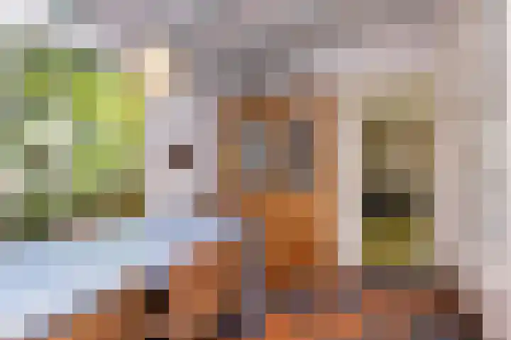 Knokkel 46 Andijk thumbnail 63