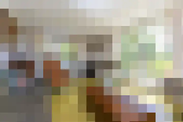 Knokkel 46 Andijk thumbnail 64