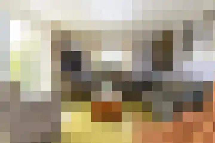 Knokkel 46 Andijk thumbnail 65