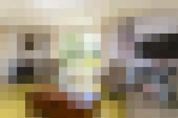 Knokkel 46 Andijk thumbnail 66