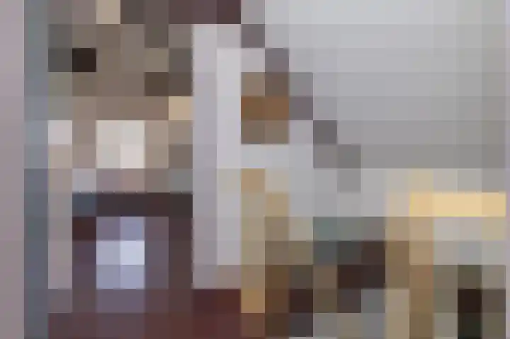 Knokkel 46 Andijk thumbnail 67