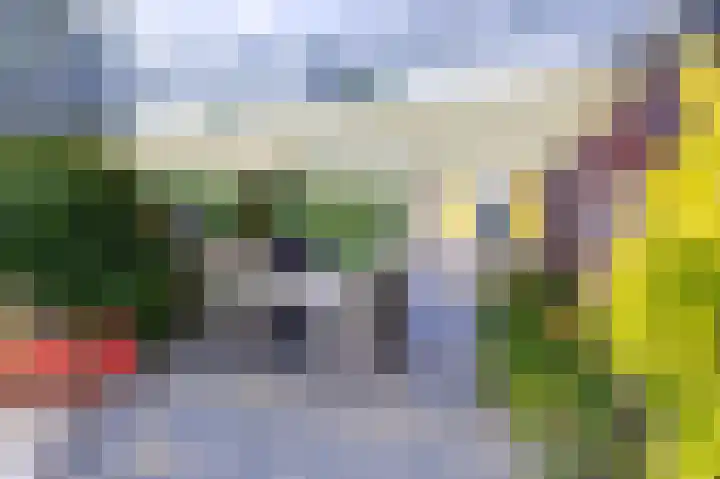 Knokkel 46 Andijk thumbnail 71