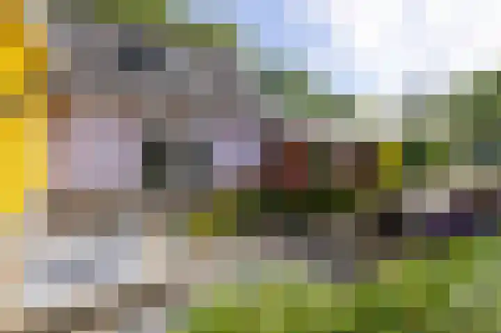 Knokkel 46 Andijk thumbnail 72