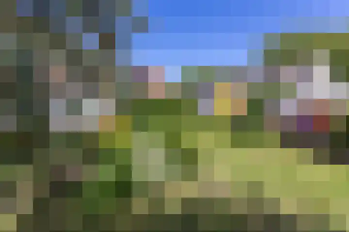 Knokkel 46 Andijk thumbnail 73