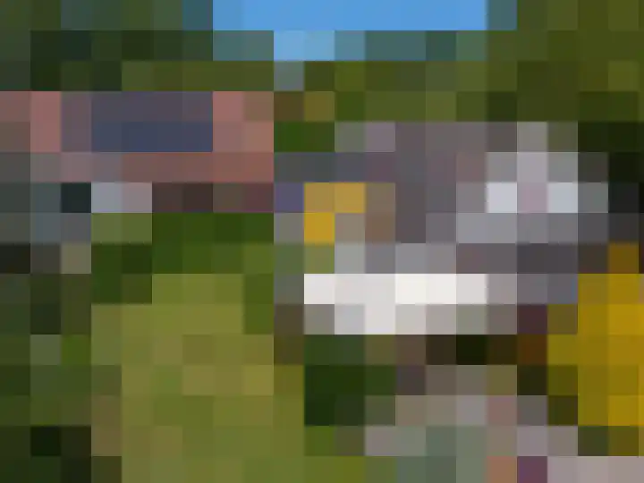 Knokkel 46 Andijk thumbnail 75