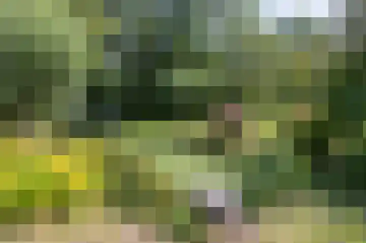 Knokkel 46 Andijk thumbnail 77