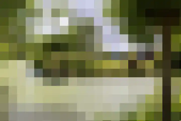 Knokkel 46 Andijk thumbnail 78