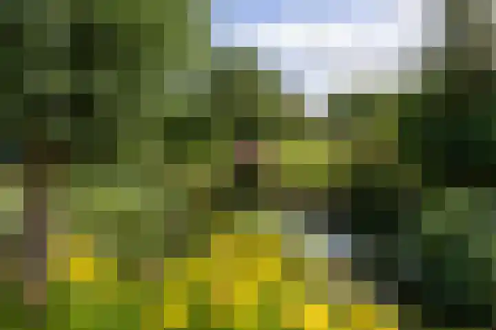 Knokkel 46 Andijk thumbnail 79