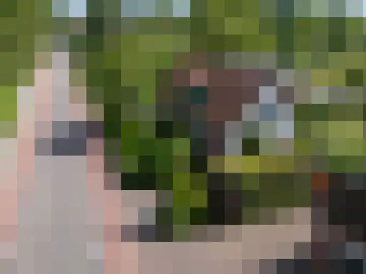 Knokkel 46 Andijk thumbnail 8