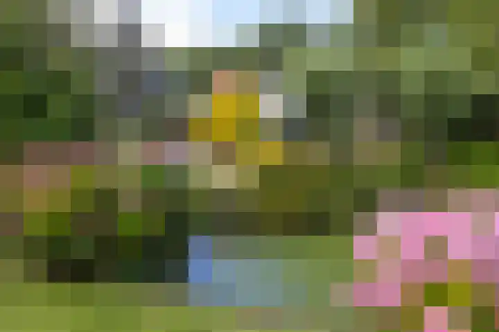 Knokkel 46 Andijk thumbnail 80