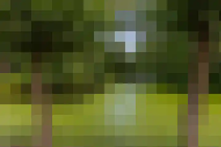 Knokkel 46 Andijk thumbnail 81