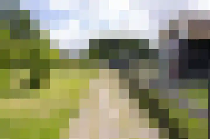 Knokkel 46 Andijk thumbnail 83